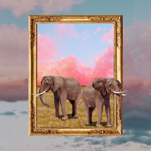 Be Kind To Elephants