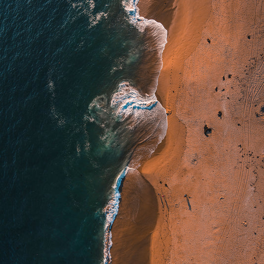 From A Birds Eye View