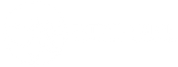 EXTRNL Vision