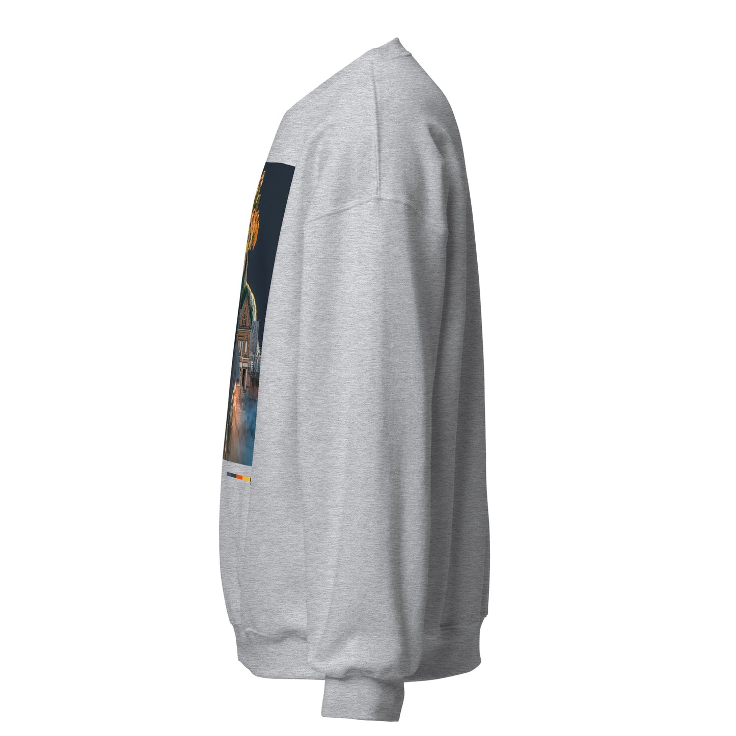 A SLIM DIVIDED Sweatshirt